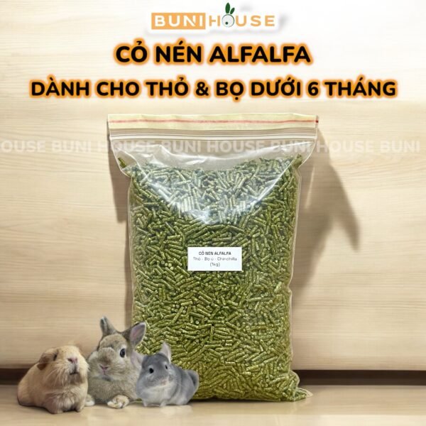 Cỏ Nén Alfalfa Nguyên Chất